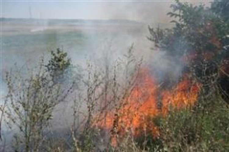 Горяха сухи треви, храсти и горска постеля