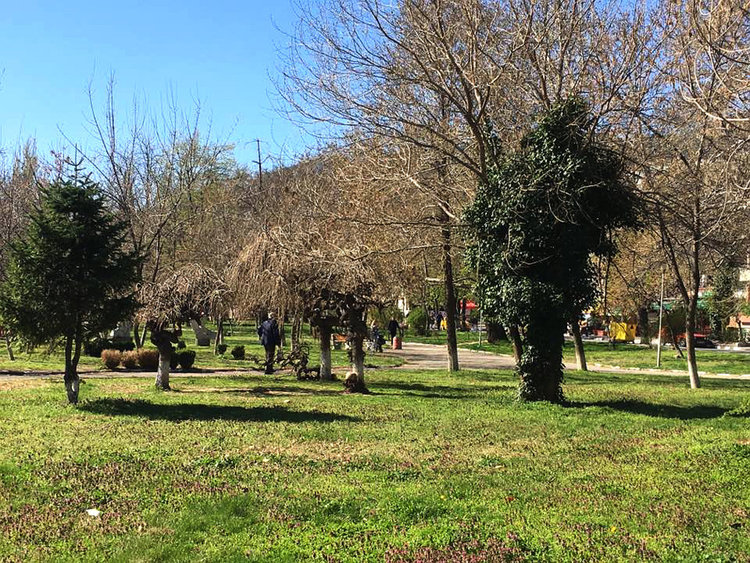 Последен шанс за включване в пролетното залесяване на Асеновград