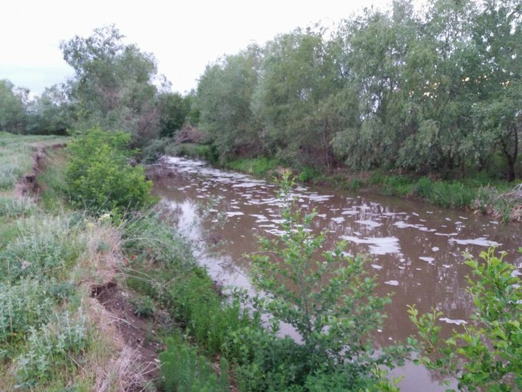 Смрад, бяла пяна и умряла риба се носи по река Мечка