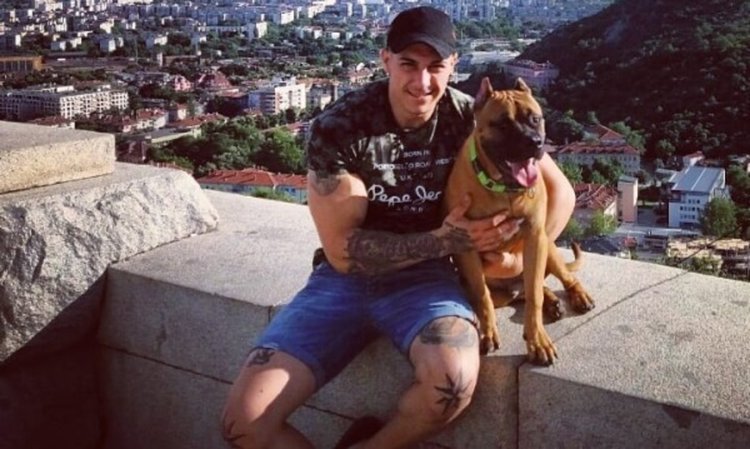 Полицай с пистолет срещу питбул: Да му пусна един в главата? 