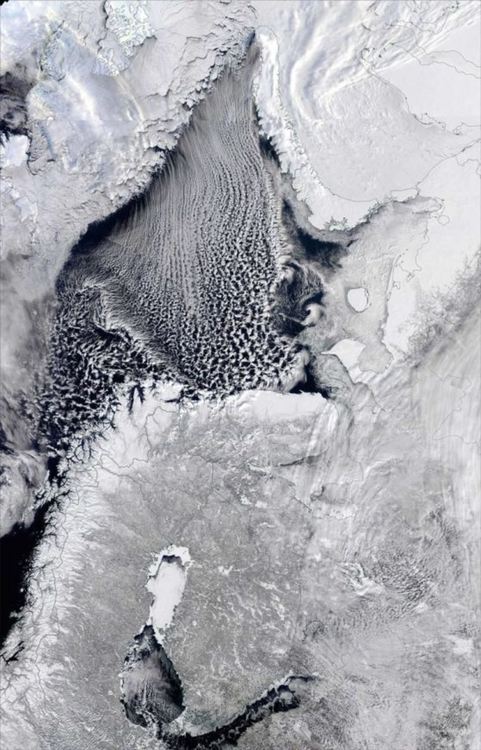 „Звярът от изток“ - снежен хаос в Европа, причинен от топенето на морския лед в Арктика