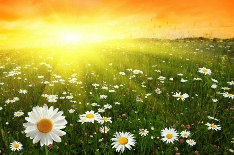 В планините ще бъде предимно слънчево и топло в събота