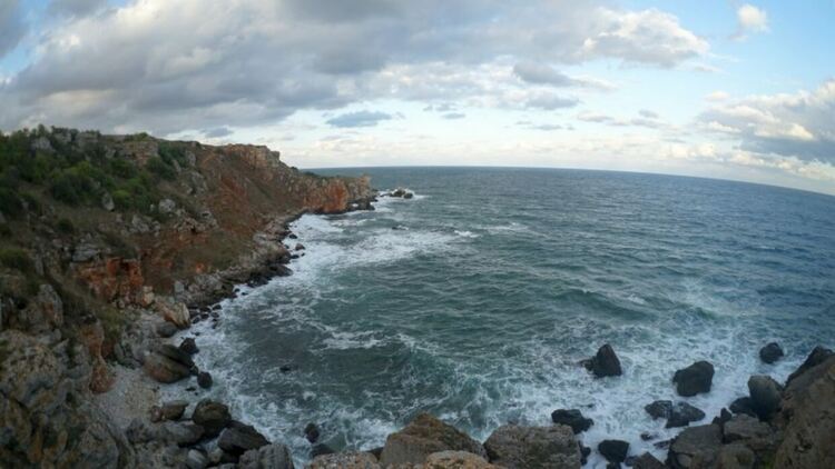 Три български кораба са задържани в румънски води за бракониерство на акули