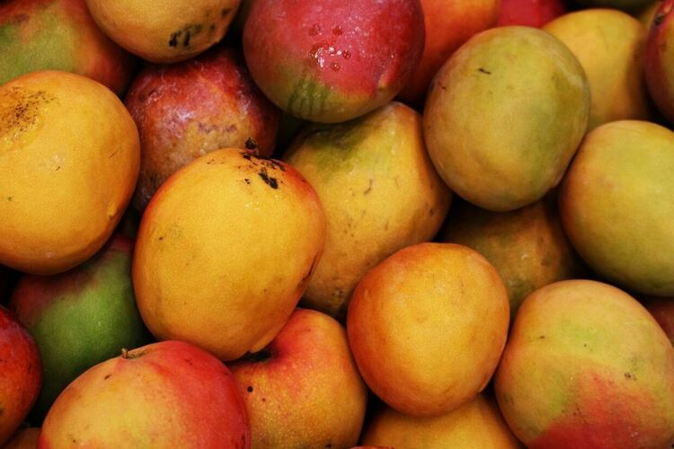 Производството на манго в Италия расте на фона на затоплянето на климата