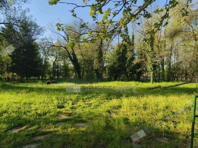 Слънчево и тихо време днес в Кърджали