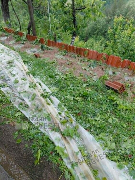 Градушка с големината на лешник нанесе щети по насажденията в Падина, Главник и Жълтуша