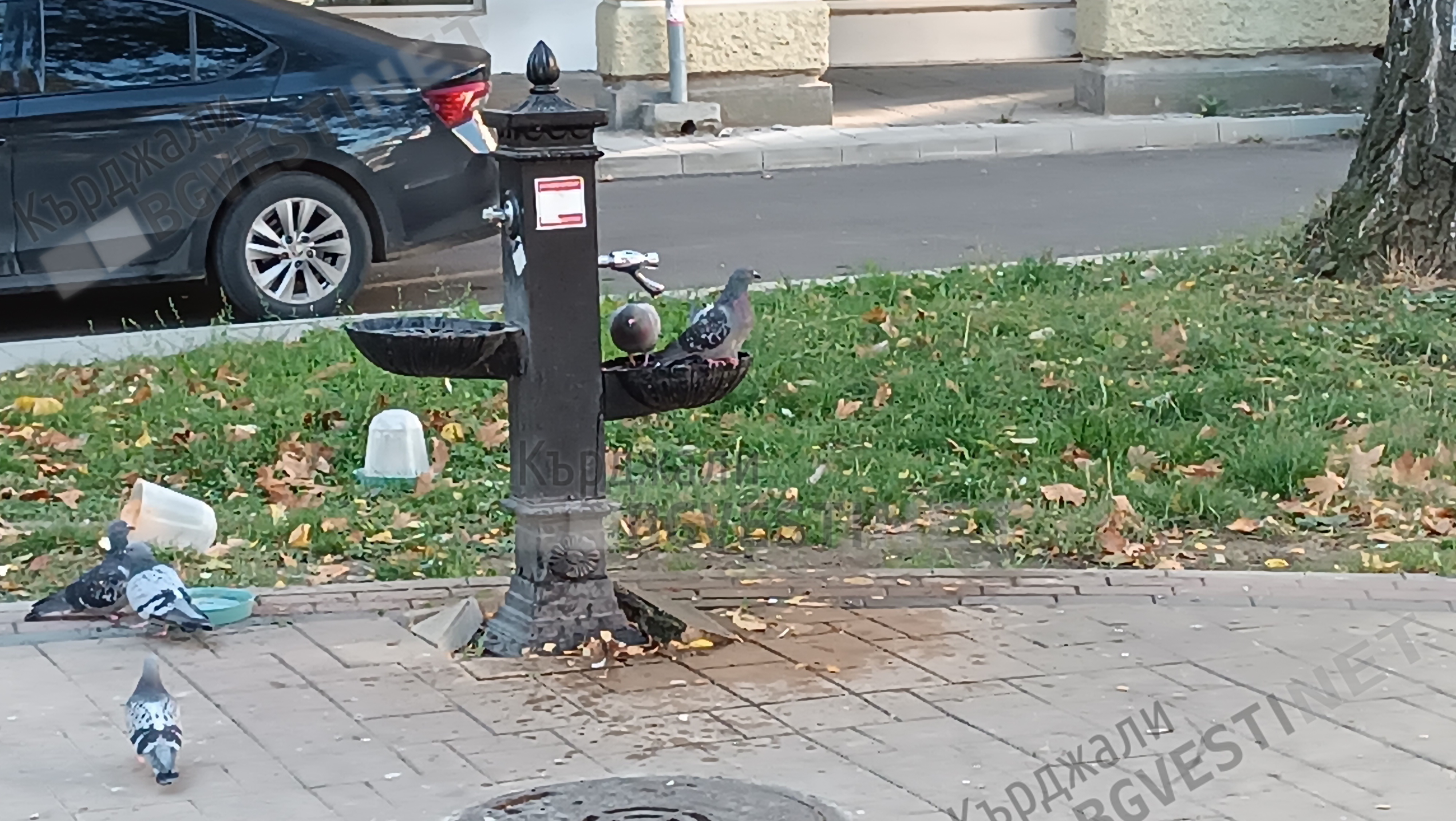 Предимно облачно днес в Кърджали,тихо време