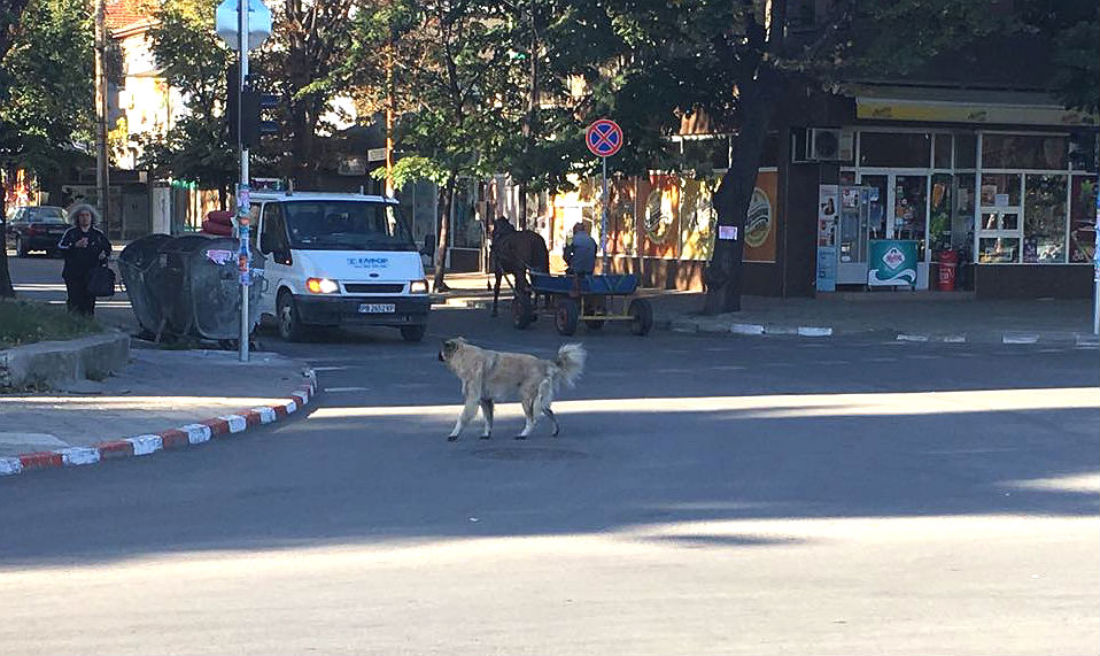 "..., но всичко е точно."
