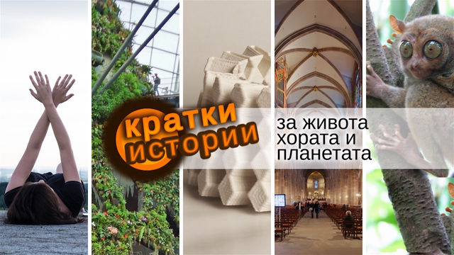 Кратки истории за живота, хората и планетата – дронове