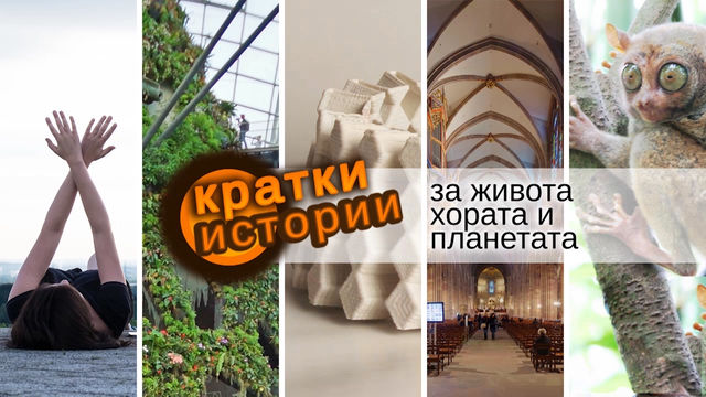 Кратки истории за живота, хората и планетата – Особени места